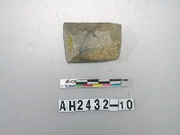 藏品(小型磨製石錛)的圖片